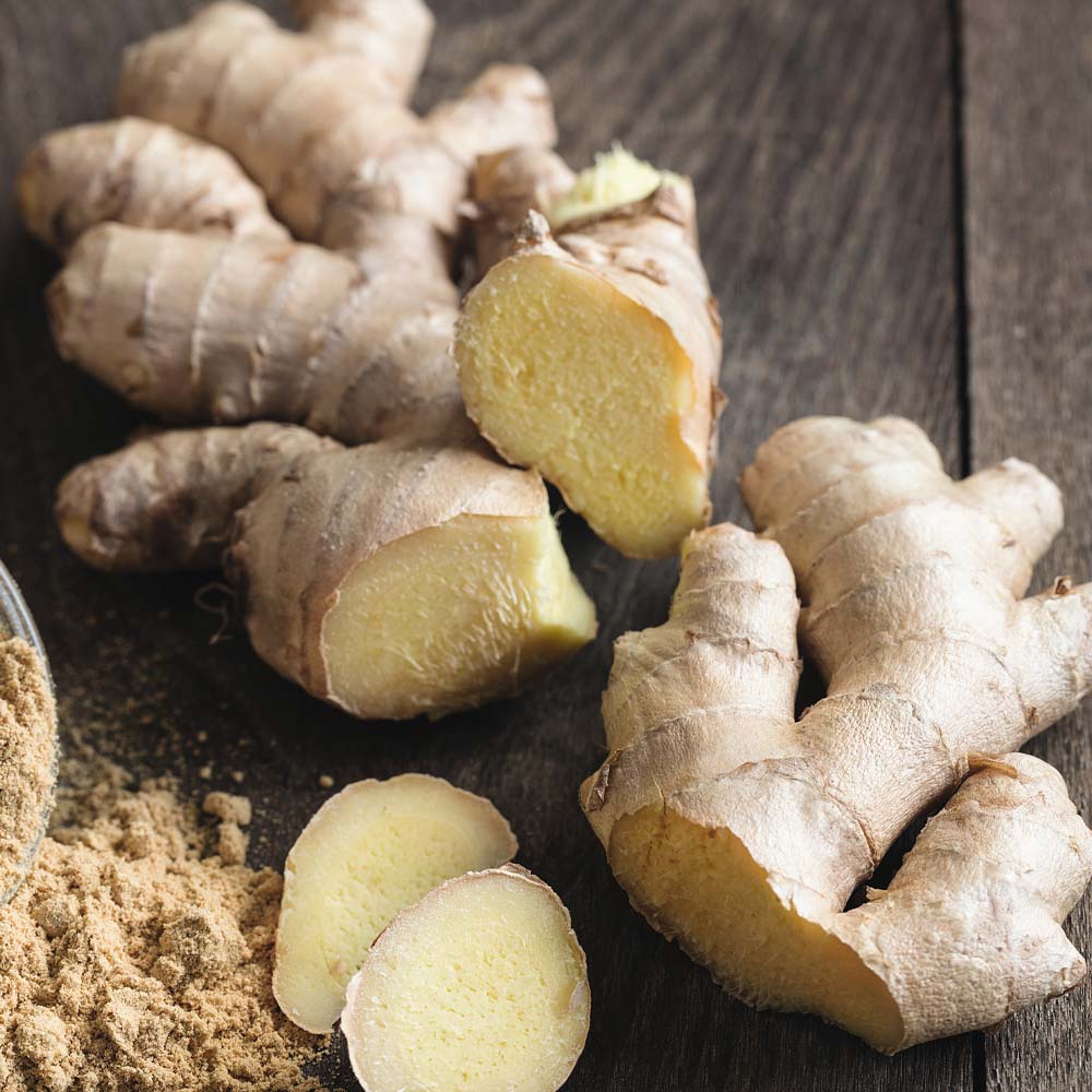 Wella Eos Zenzero (III) 120g  - colorazione naturale [all]