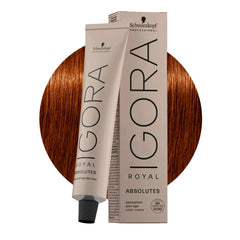 Schwarzkopf Igora Royal Absolutes  6-70 Dunkles Natürliches Kupferblond 60ml - Permanente Haarfärbung