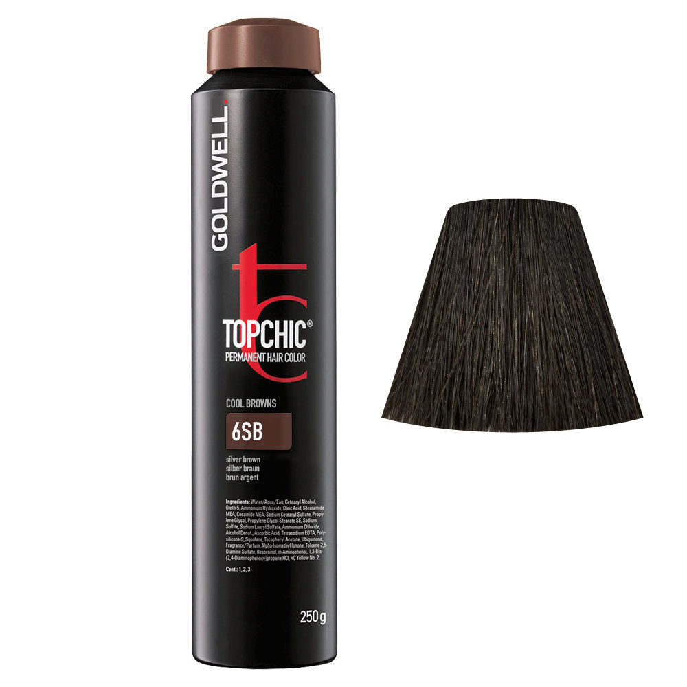 6SB Silber braun Goldwell Topchic Cool browns can 250gr