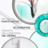 Kerastase Specifique Bain Riche Dermo Calm 250ml - beruhigendes und reinigendes Shampoo Kerastase Specifique Bain Riche Dermo Calm 250ml - beruhigendes und reinigendes Shampoo