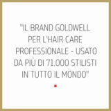 Goldwell Dualsenses Rich Repair Restoring Shampoo 250ml - Shampoo für trockenes oder geschädigtes Haar Goldwell Dualsenses Rich Repair Restoring Shampoo 250ml - Shampoo für trockenes oder geschädigtes Haar