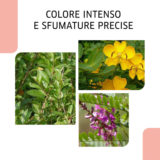 Wella Eos Kakao (IX) 120g - Natürliche Färbung ohne Ammoniak Wella Eos Kakao (IX) 120g - Natürliche Färbung ohne Ammoniak