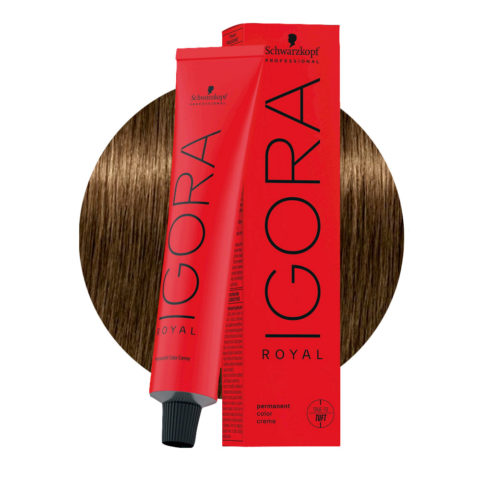 Schwarzkopf Igora Royal  6-4 Beige Dunkelblond 60ml - Permanente Färbung