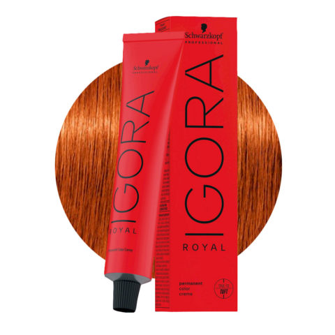 Schwarzkopf Igora Royal 7-4 Beige Mittelblond 60ml - Permanente Färbung