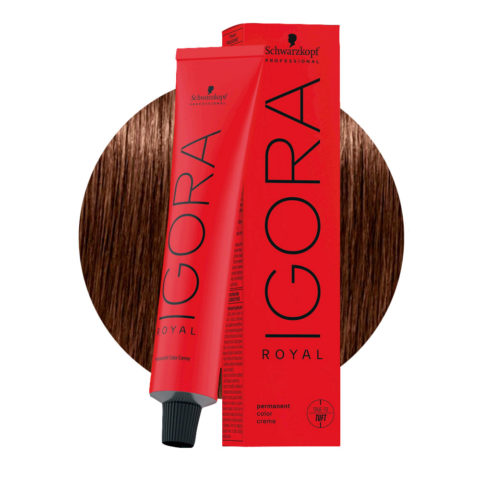 Schwarzkopf Igora Royal 6-68 Dunkles Schokoladenrotblond 60ml - Permanente Färbung