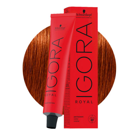 Schwarzkopf Igora Royal 6-77 Extra Kupfer-Dunkelblond 60ml - Permanente Färbung