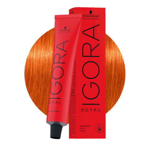 Schwarzkopf Igora Royal 8-77 Extra Kupfer-Hellblond 60ml - Permanente Färbung