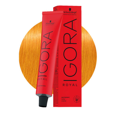 Schwarzkopf Igora Royal MIX 0-55 Goldkonzentrat 60 ml – permanente Färbung