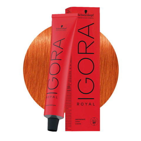 Schwarzkopf Igora Royal MIX 0-77 Kupferkonzentrat 60 ml – permanente Färbung