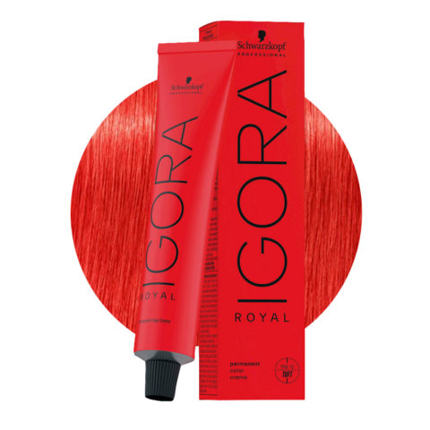 Schwarzkopf Igora Royal MIX 0-88 Konzentrat Rot 60 ml – permanente Färbung