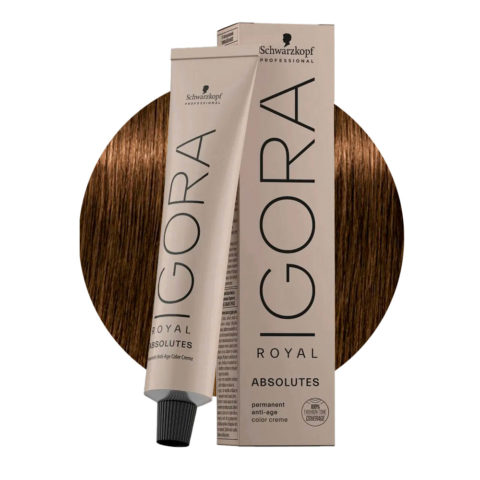 Schwarzkopf Igora Royal Absolutes 6-50 Natürliches Dunkles Goldblond 60ml - Permanente Färbung