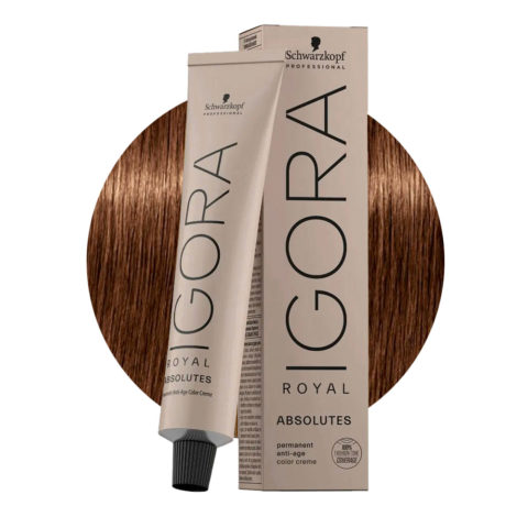 Schwarzkopf Igora Royal Absolutes 6-60 Dunkles Natürliches Schokoladenblond 60ml - Permanente Färbung