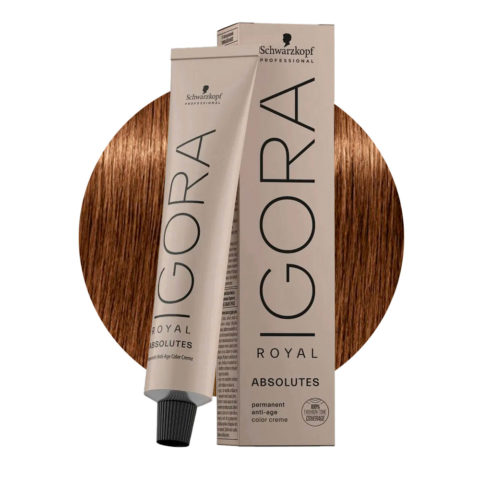 Schwarzkopf Igora Royal Absolutes 7-60 Mittleres Natürliches Schokoladenblond 60ml - Permanente Färbung