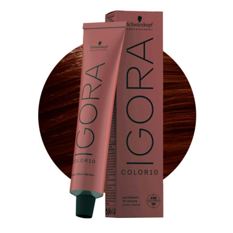 Schwarzkopf Igora Color10 6-65 Dunkelblond Schokolade Golden 60ml – permanente Farbe in 10 Minuten