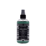 Alterego Surface Hygiene Spray Oberflächendesinfektionsmittel 300ml