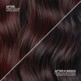 Redken Color Extend Magnetics Shampoo 300ml - Shampoo für gefärbtes Haar