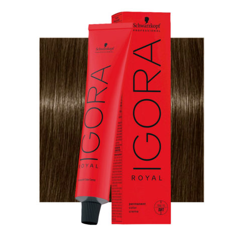 Schwarzkopf Igora Royal 6-16 Cendrè-Schokolade Dunkelblond 60ml - Permanente Färbung