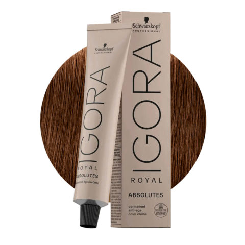 Schwarzkopf Igora Royal Absolutes 6-460 Beige-Naturschokolade Dunkelblond  60ml - Permanente Färbung