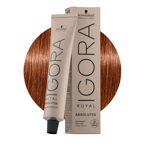 Schwarzkopf Igora Royal Absolutes 7-560 Mittelgoldblonde Naturschokolade 60ml - Natürliches Hellblond