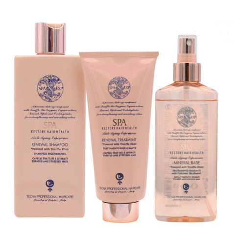 SPA Kit Shampoo 250ml Treatment 200ml Mineral base 200ml