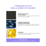 Cotril Icy Blond Purple Shampoo 300ml - Anti-Gelb-Shampoo