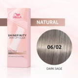 Wella Shinefinity Dark Sage 06/02 Dunkles Naturblond Matt 60 ml – demi-permanente Farbe