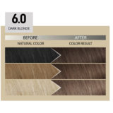Alfaparf Milano Il Salone Plex Rebuilder Color Kit 6.0 Dunkelblond - permanente Färbecreme