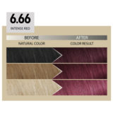 Alfaparf Milano Il Salone Plex Rebuilder Color Kit 6.66 Intensives Rot - permanente Färbecreme