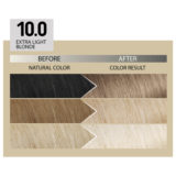 Alfaparf Milano Il Salone Plex Rebuilder Color Kit 10.0 Extra Hellblond   - permanente Färbecreme