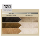 Alfaparf Milano Il Salone Plex Rebuilder Color Kit 12.0 Reines Platinblond - permanente Färbecreme