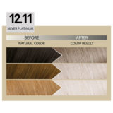 Alfaparf Milano Il Salone Plex Rebuilder Color Kit 12.11 Platin Silber - permanente Färbecreme