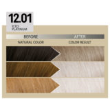 Alfaparf Milano Il Salone Plex Rebuilder Color Kit 12.01 Eis Platin  - permanente Färbecreme