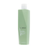 VIAHERMADA Purifyng Shampoo 250ml - reinigendes Shampoo für fettige Kopfhaut