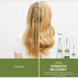 Biolage Strength Recovery Shampoo 250ml - Shampoo für geschädigtes Haar