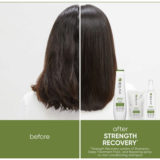 Biolage Strength Recovery Shampoo 250ml - Shampoo für geschädigtes Haar