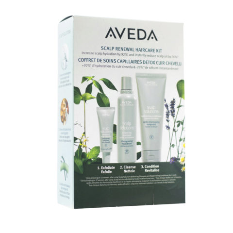 Aveda Scalp Renewal Haircare Kit - reinigende Behandlung