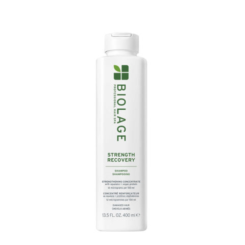 Professional Hair Spa Strenght Recovery Shampoo 400ml - Restrukturierendes Shampoo für strapaziertes Haar