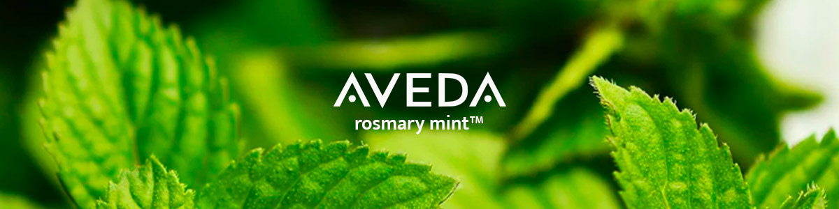 Rosemary Mint - Aromatherapie für den Körper
